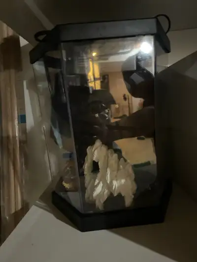 5 gallon tank with filter & mini heater, gravel, net & decor Kid used for a Beta, no longer needed.