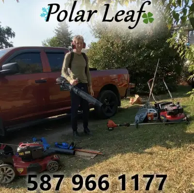 North East leaf cleanup snow removal, View more