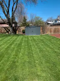 Lawn Maintenance For Sale