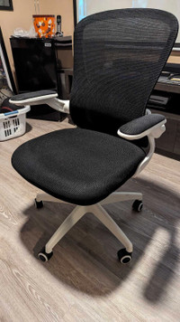 Ergonomic Office/Gaming Chair Lumbar Support
