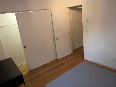 Recherche colocataire — 6 ½ neuf dans Hochelaga Bonjour ! Je recherche un·e super colocataire pour r...