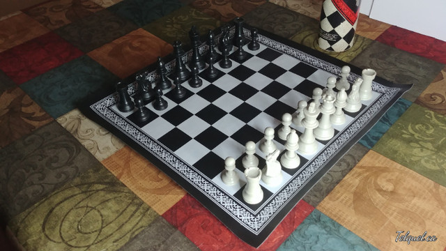 Le ChessTube Original Vintage dans Jouets et jeux  à Longueuil/Rive Sud - Image 4