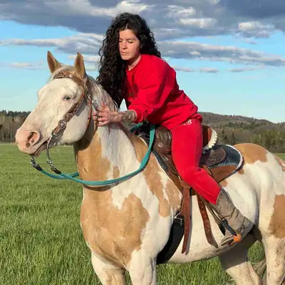 Registered Mare for sale, View more