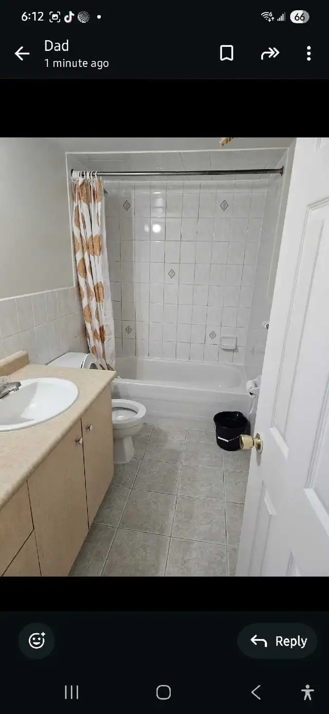 Basement For Rent in Long Term Rentals in Mississauga / Peel Region - Image 5
