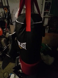 Professional punching bag ever last
