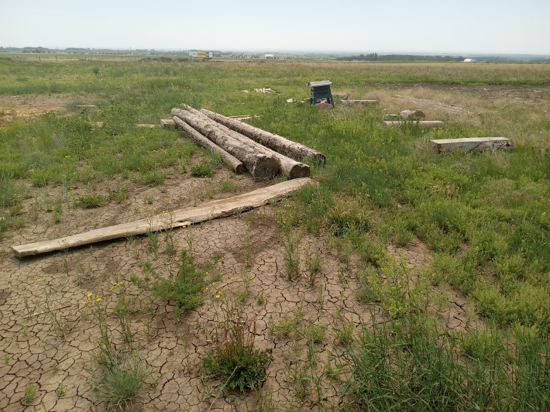 Free wood slabs/firewood Free Stuff Grande Prairie Kijiji