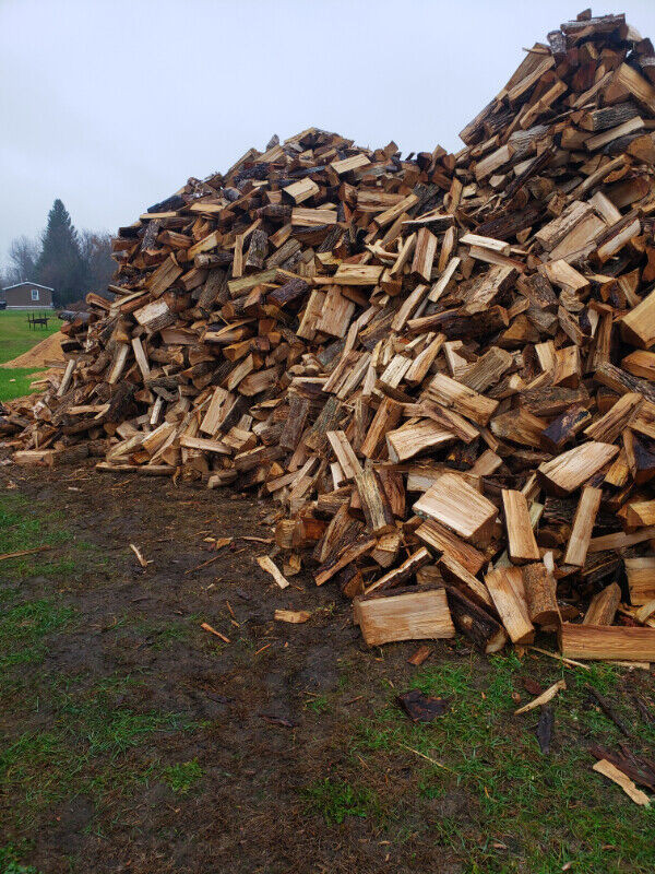 Hardwood firewood in Fireplace & Firewood in Ottawa - Image 3