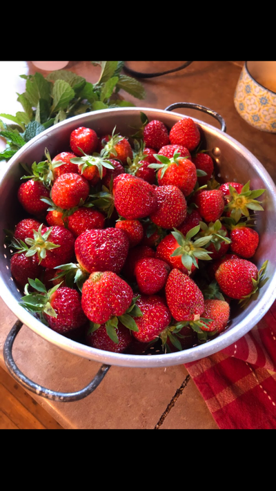 Fruit and vegetable plants/roots/seeds, View more