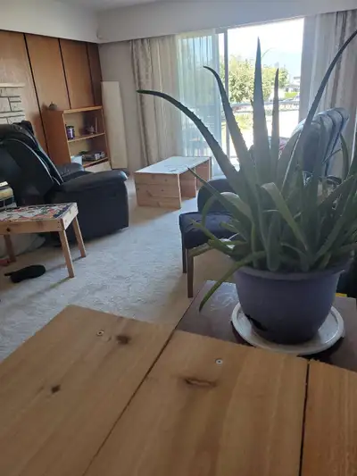 Private room for rent