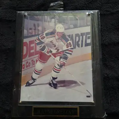 Wayne Gretzky Mounted Photo, View more