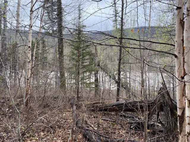 Yukon Off Grid Property  in Land for Sale in Whitehorse - Image 4