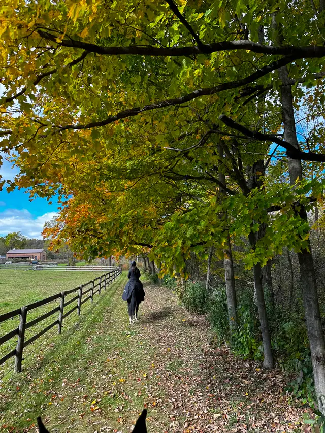 Studio on Horse Farm, Campbellville | Long Term Rentals | Oakville ...