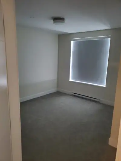 1 bedroom + den