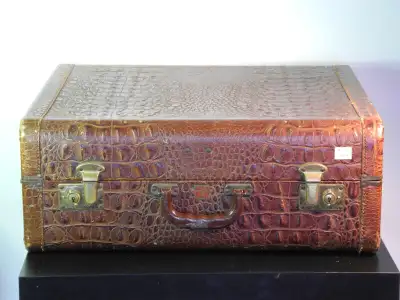 45$ Valise imitation peau de crocodile ''JE Fournier'' 21 X 17 X 8 po. #530 60$ Valise en cuir tan à...
