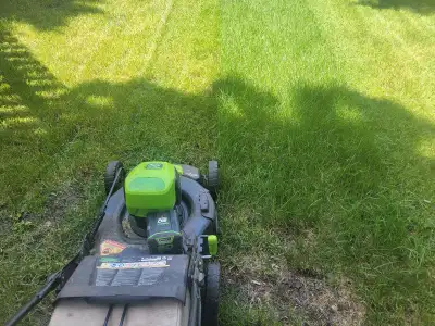 Lawn matience regina and area for 2025/2025 season, View more