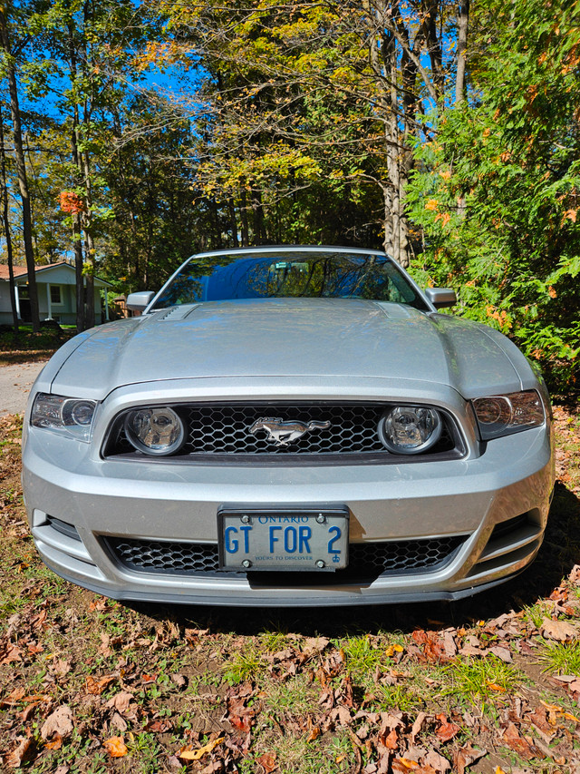 2014 Ford Mustang GT Convertible Premium trim and Roush extras in Cars & Trucks in Oakville / Halton Region - Image 2