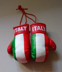 Italian Flag Miniature Boxing Gloves Ornament