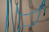 Blue rope halter with clinician lead rope