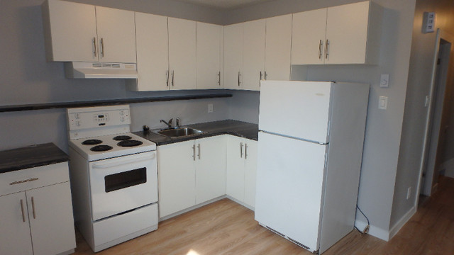 All utilities included! 2 bed 1 bath unit in Long Term Rentals in Winnipeg