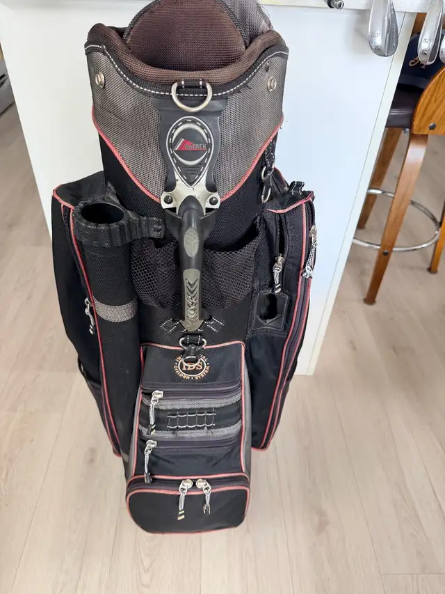 Golf clubs & bag  in Golf in Ottawa - Image 8
