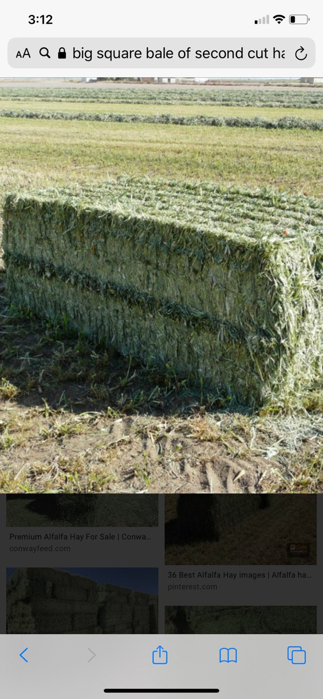 Hay for sale  in Other in Barrie