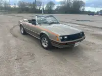 1981 Mustang Ghia 