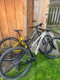 Pair of Rocky Mountain Growler bikes