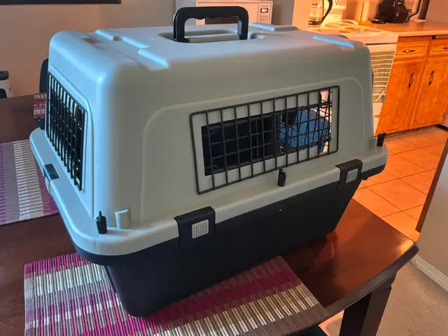 MEDIUM SIZE CAT/DOG CARRIER in Accessories in North Shore - Image 3