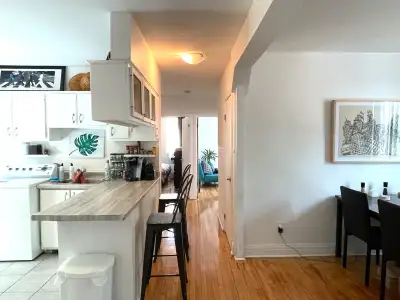 Grand 5½ | Honoré-Beaugrand | Bright + Renovated | $1,680