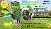 Lawn care and garden maintenance 