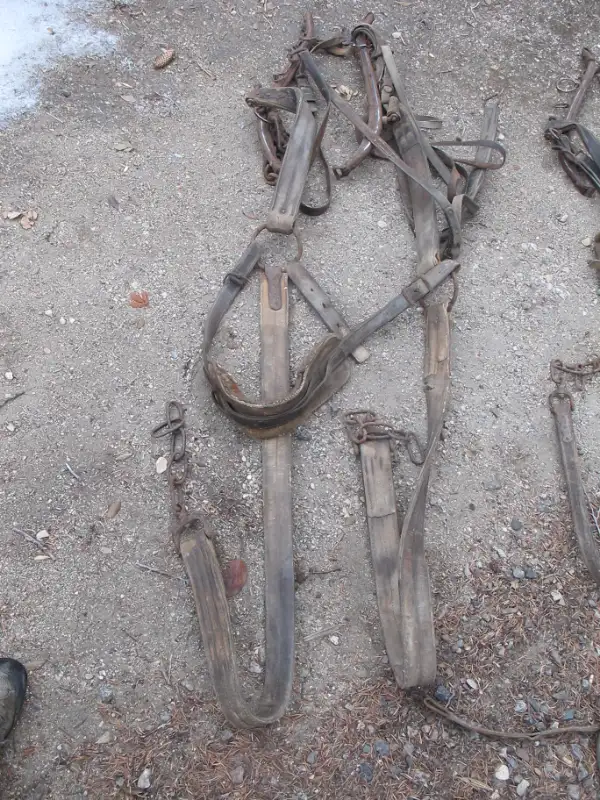Vintage Sets Of Horse Harness in Arts & Collectibles in Regina - Image 7