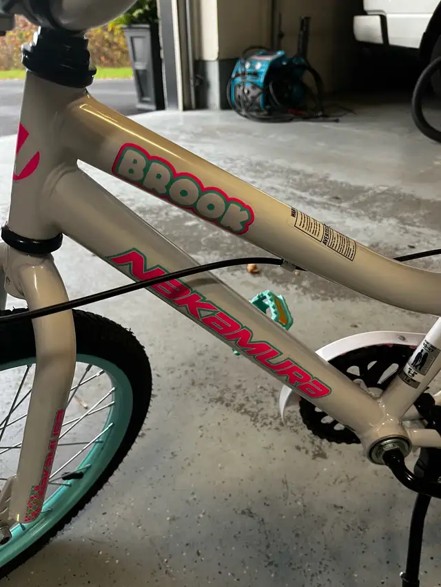 Nakamura Brook Bicycle in Kids in Ottawa - Image 4