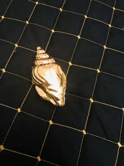Gold Shell Hair Claw Clip, View more