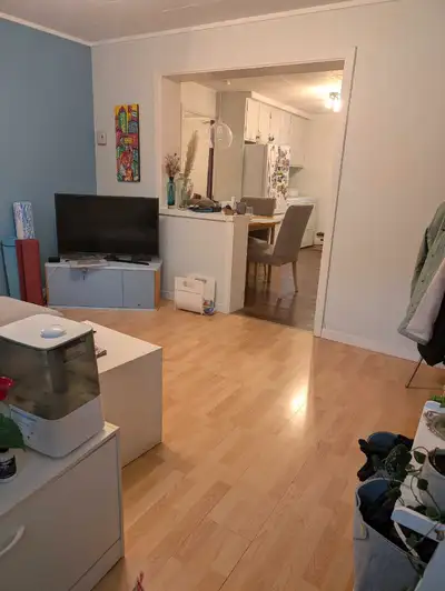 Appartement 4 ½ bien situé sur la 5e Rue à Limoilou, dans un immeuble calme. Environ 800 pi², foncti...