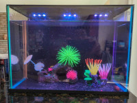 Topfin Small Fish Tank