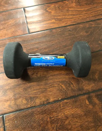 10 pound lbs dumb bell