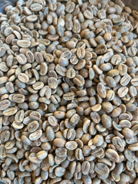 Green Coffee Beans - Costa Rica, Ethiopian & Colombian