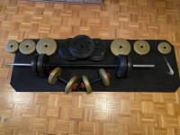 Steel Rod and Black Weights **beige colored weights sold** 