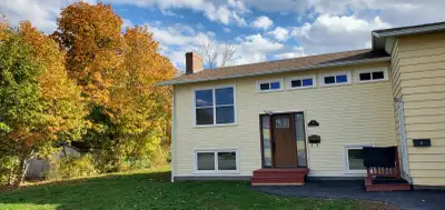 Welcome to this beautifully renovated 4-bedroom, 2 full bathroom home in the heart of Antigonish! Co...