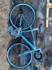 Specialized vita 44 cm frame road bike