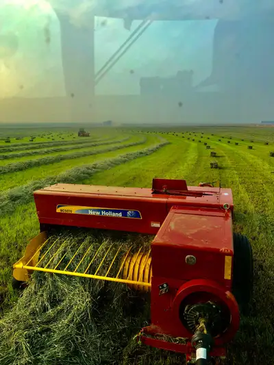 Small squares in 21 bale bundles 1st cut timothy - $250/bundle 2nd cut timothy - $275/bundle 1st cut...