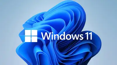 Upgrade / install any computer to Windows 10 to 11, View more