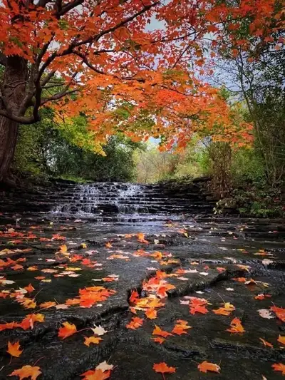 Massothérapeute certifié , View more