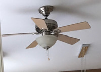 Hunter Douglas ceiling fan with reversible blades