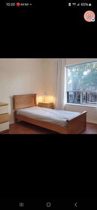Downtown(Bloor/Harbord/College) house room for rent
