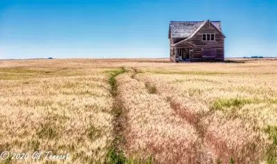 Documenting the older things in life..., View more