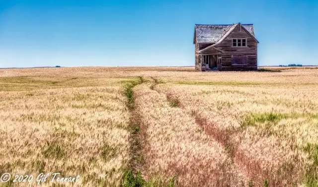 Documenting the older things in life...63654764390913120