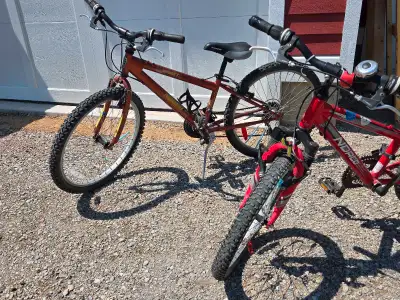 Kids norco mtn bikes, View more