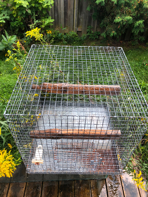 Bird cage in Accessories in Kitchener / Waterloo - Image 2