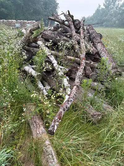Wood logs. Best offer or trade., View more
